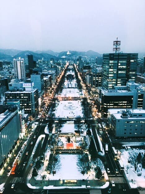 삿포로행 항공권